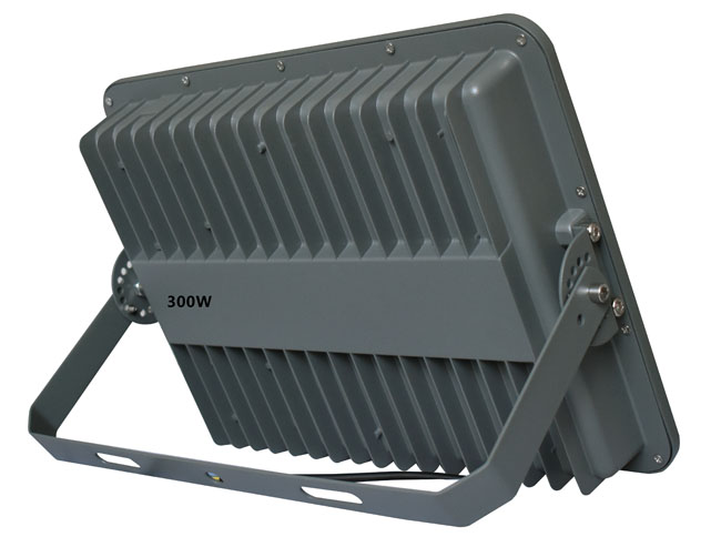 300W (2).jpg